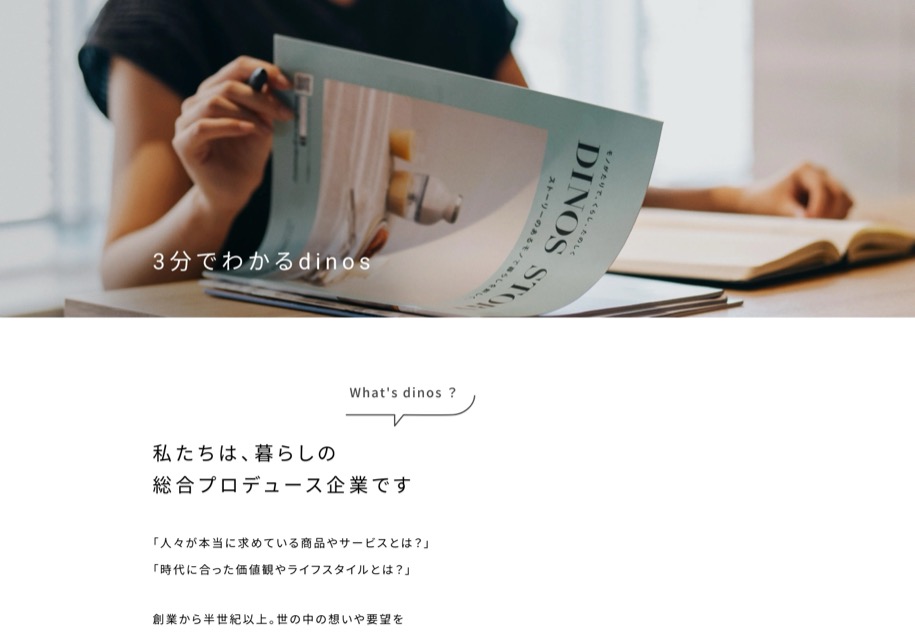 株式会社ディノス のパソコン表示