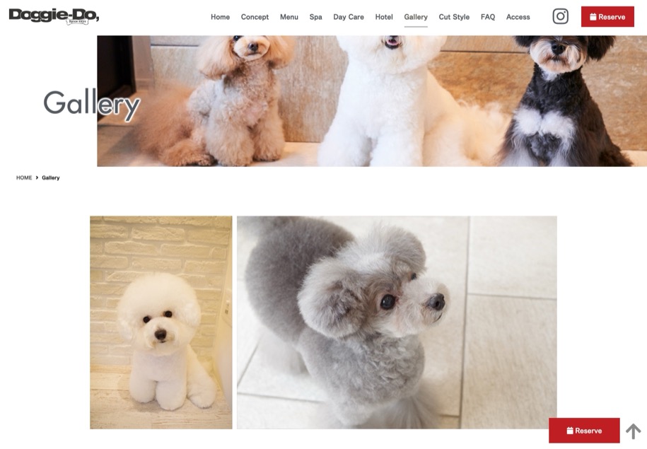 Doggie-Do のパソコン表示