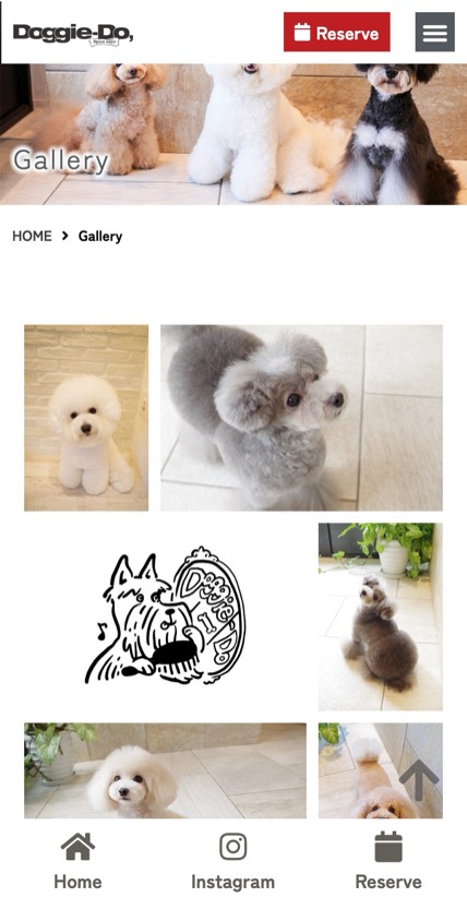 Doggie-Do のスマホ表示