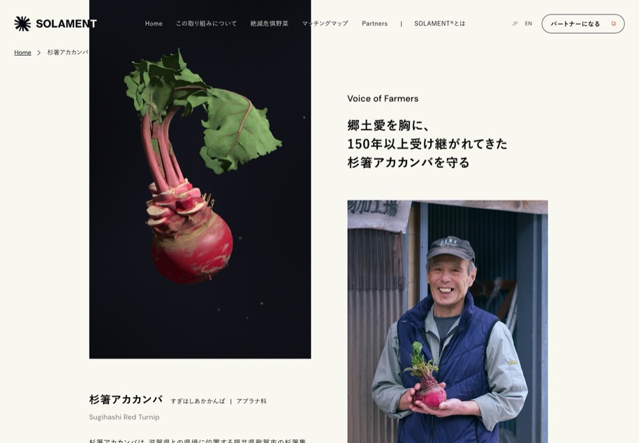 絶滅危惧野菜を救え (SOLAMENT) のパソコン表示