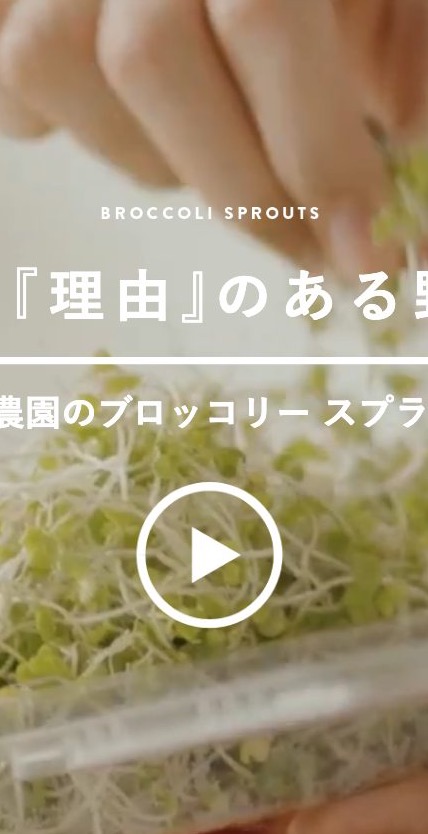 村上農園スプラウト のスマホ表示