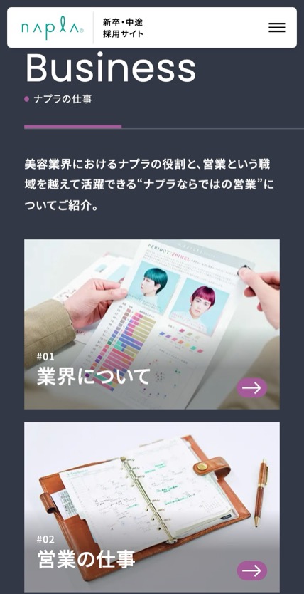 ナプラ のスマホ表示