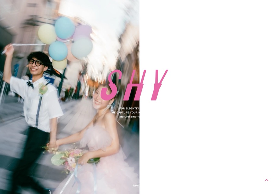 SHY のパソコン表示