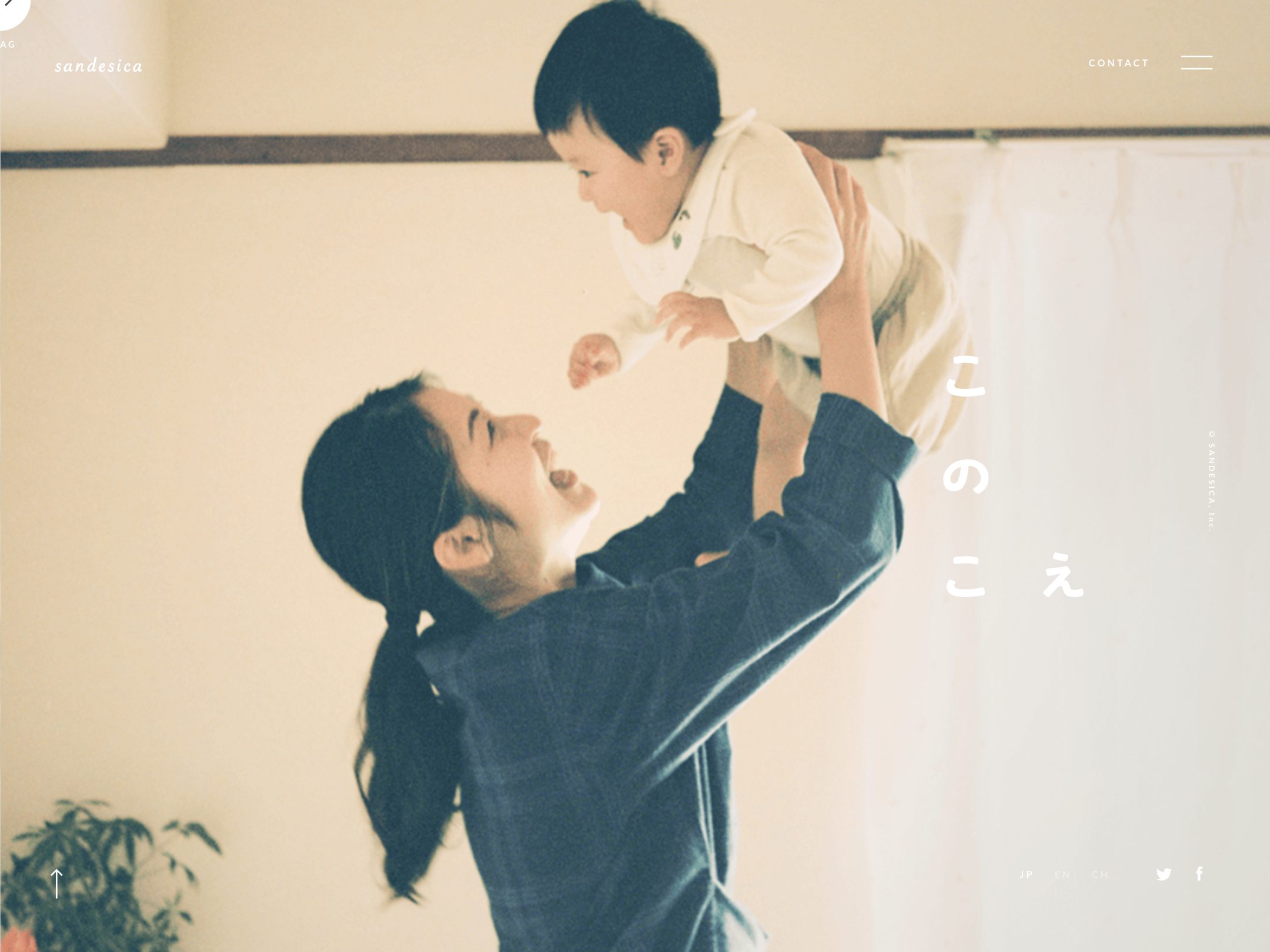 サンデシカ